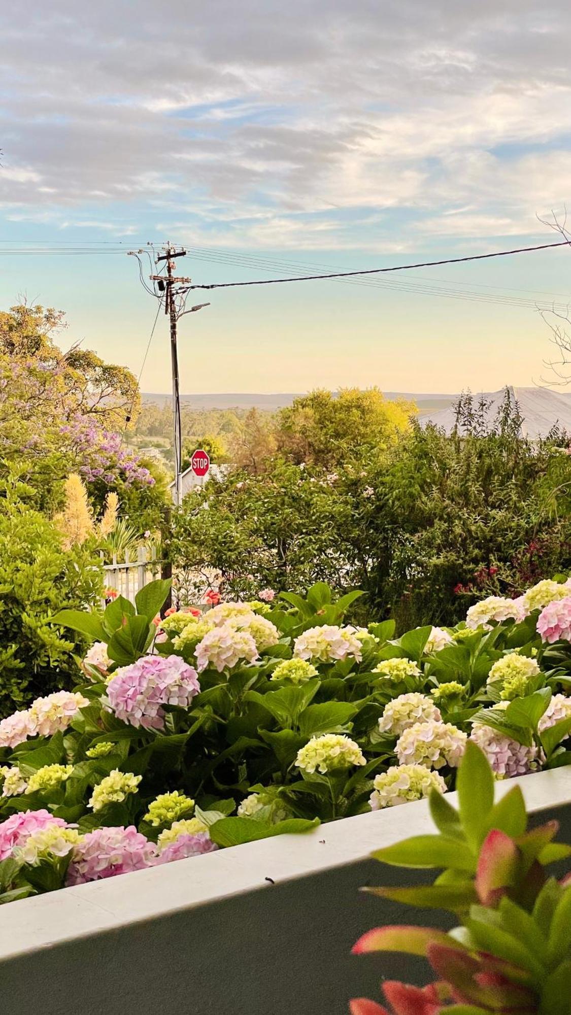 Rosehaven Cottage Swellendam Ngoại thất bức ảnh